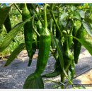 두식농장 이미지