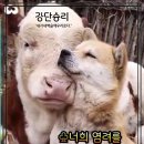 샬롬 이미지