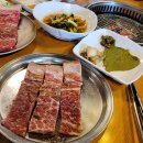 우둠지 이미지