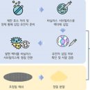 제노사이언스