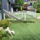 비숑마을펜션 이미지