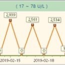 분당 필동물병원 이미지