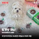31140-6-74-14 | 강아지자연식 도기넛 미니 | 기호성 좋은 반습식 화식 오리 말고기 단일단백질 후기