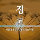 고운정 이미지
