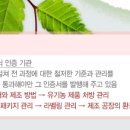 써트 이미지