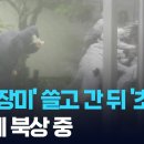 6호 태풍 장미, 일본 규슈 접근… KBS 2026.06.02. 이미지