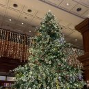 호텔마르 이미지