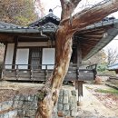 파산정(巴山亭) | 안동 풍천 상봉정(翔鳳亭)과 파산정(巴山亭)