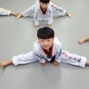 용인대용전태권도 이미지