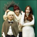 베베미뇽 이미지