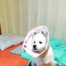 우리앤동물병원 이미지