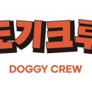 도기크루 이미지
