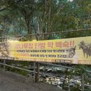 촌닭농장식당 이미지