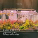 물생활을 하신다면 무조건 방문하셔야하는 남양주 수족관 후기 | 거북이, 베타, 각종용품들