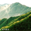 명인초교 이미지