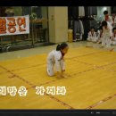 XPL 태권예술단 이미지