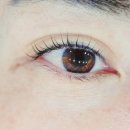 에머랄드빌딩 이미지