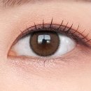 호호렌즈 이미지