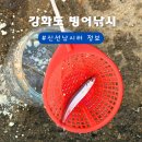 신선낚시터 | 인천 아이랑 갈만한곳 강화도 빙어낚시 할 수 있는 신선낚시터 후기