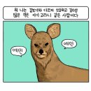 도가원 족발 이미지
