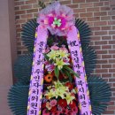 성원애