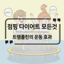 굿데이점핑 이미지