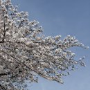 봉평메밀꽃막국수 | 오산 필봉산 등린이 코스 + 봉평메밀밭막국수 (들기름·비빔·수육 후기)