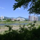 자라목공원 이미지