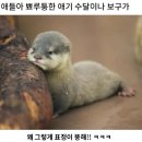 사랑을 전하고 싶다던가