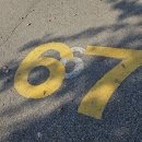 CU과천공원점 | 과천 가볼만한곳 렛츠런파크 서울 경마장 배팅 방법 데이트코스 놀거리 추천 초보자 후기