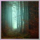 가까운약국 | 약국 이용 후기 그 진짜 경험을 공유합니다