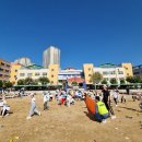 동천초등학교 이미지