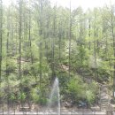 2018년 4월18일 바라산 자연휴양림 숲체험 이미지