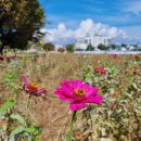 남천동로 이미지