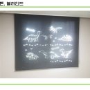 나라커튼블라인드나라홈시스