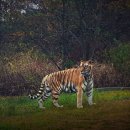 백두산동물병원 이미지