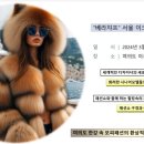 드림 에이전시 이미지