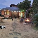 애월 은 stay 이미지