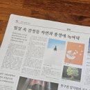 피르화실