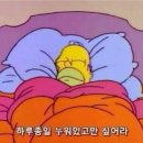 목스녹스 이미지