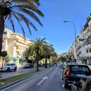 시에스타민박 이미지