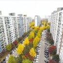 서초중앙로29길 28 (1) 이미지