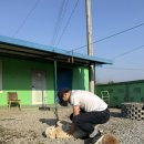 여리오자매 이미지