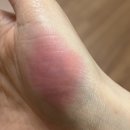 로즈니 | 투크새틴도화밤(로즈니,스트로베리) 내돈내산 후기