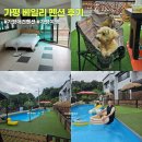 베일리애견풀빌라펜션 | 가평 애견동반 여행 베일리 애견 풀빌라 펜션 201호 후기