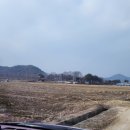 도촌양계장 네이버블로그