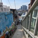 일제 경성호국신사 계단(108계단) 이미지