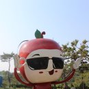 내고향사과쥬스 이미지