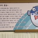 동리회집 이미지