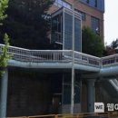 토당초 앞 이미지